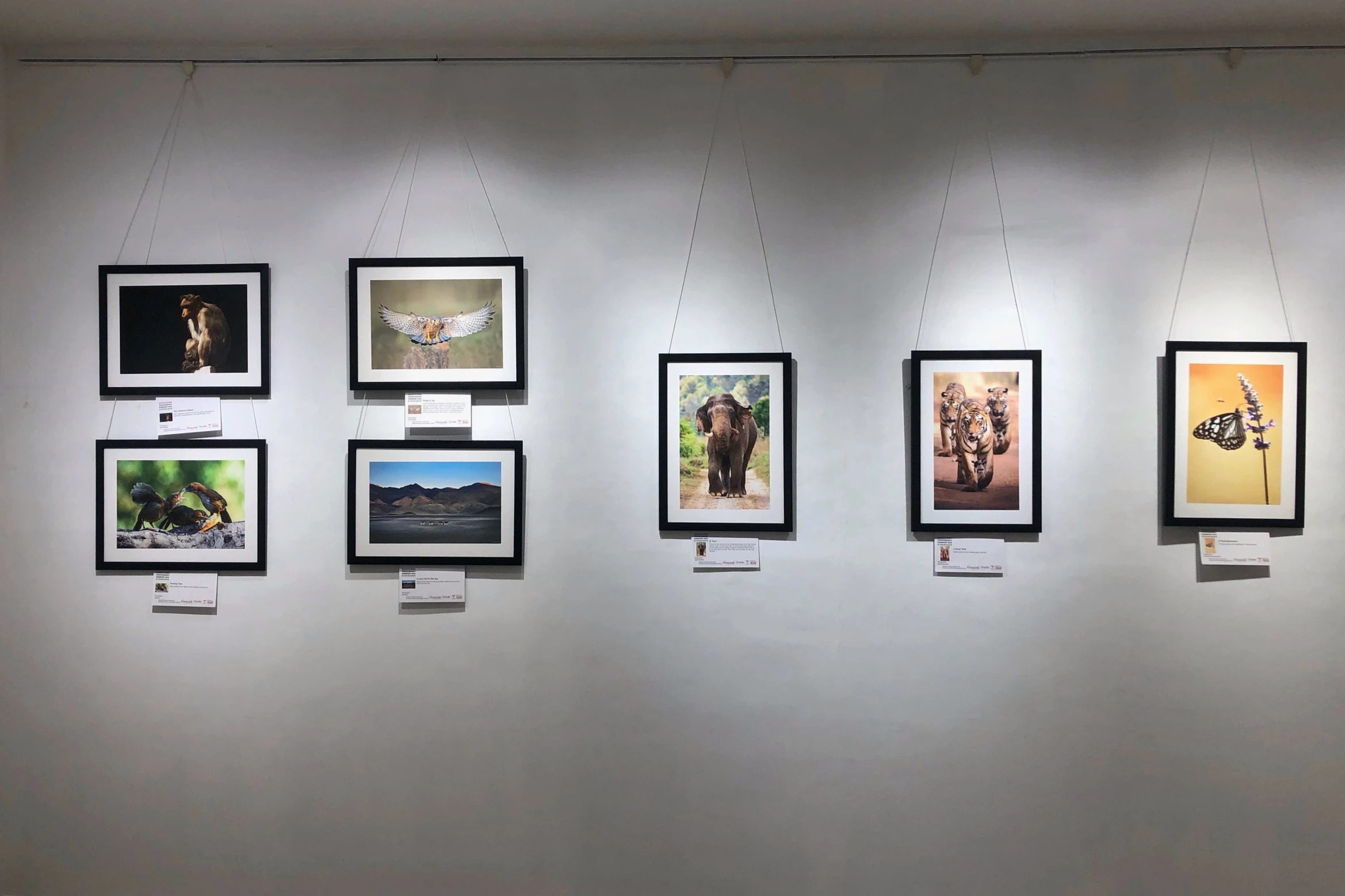 Honeycomb Exhibition Display